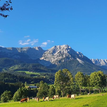 Bauernhof Neu-Endfelden, Guenter Widauer Villa Söll Екстериор снимка